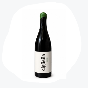 Cigüeña Cáucaso